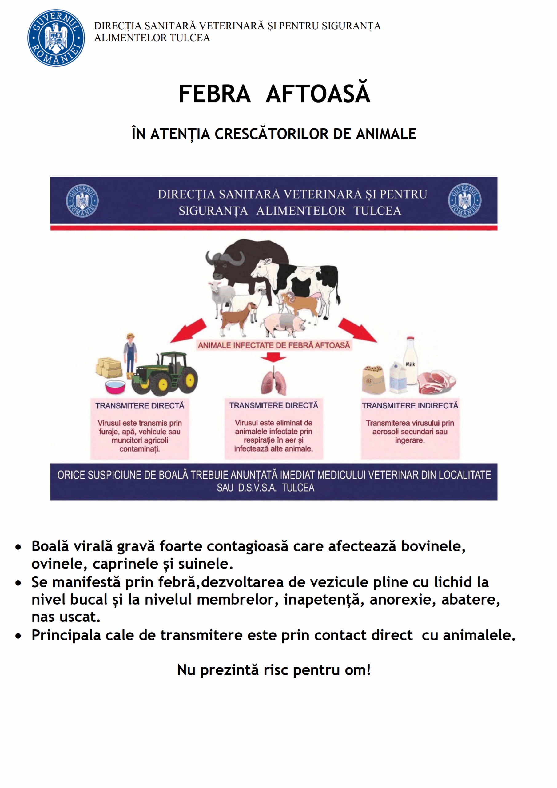 Material Febra Aftoasa